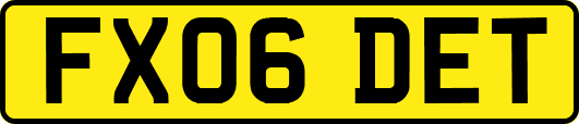 FX06DET