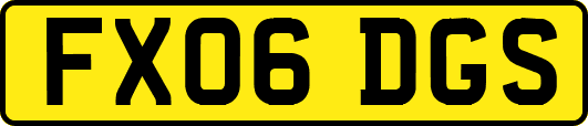 FX06DGS