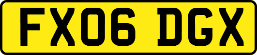 FX06DGX