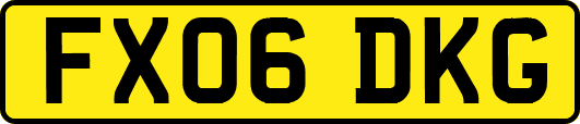 FX06DKG