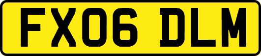 FX06DLM