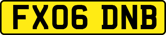 FX06DNB