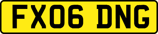 FX06DNG