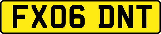 FX06DNT