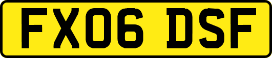 FX06DSF
