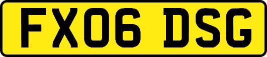 FX06DSG