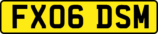 FX06DSM