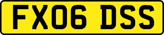 FX06DSS
