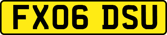 FX06DSU