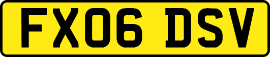 FX06DSV