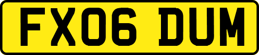 FX06DUM