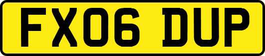 FX06DUP