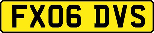 FX06DVS