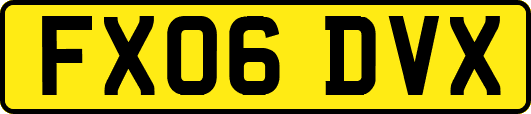 FX06DVX