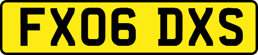 FX06DXS