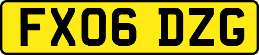 FX06DZG
