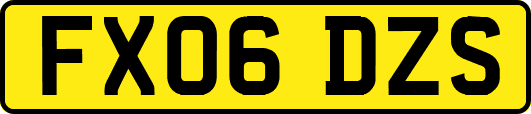 FX06DZS