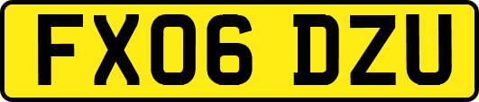 FX06DZU