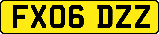 FX06DZZ