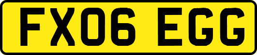 FX06EGG