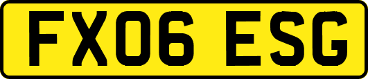 FX06ESG