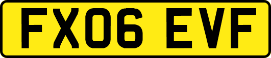 FX06EVF