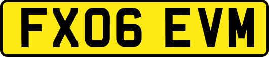 FX06EVM