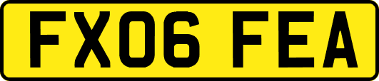 FX06FEA