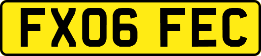 FX06FEC