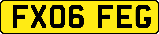 FX06FEG