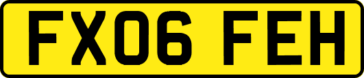 FX06FEH