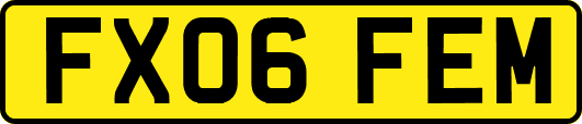 FX06FEM