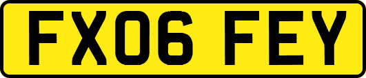 FX06FEY