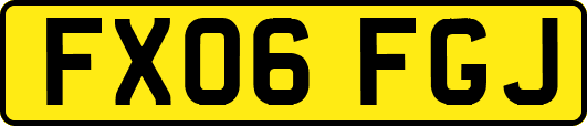 FX06FGJ