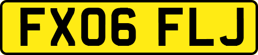 FX06FLJ