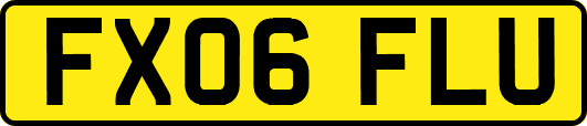 FX06FLU