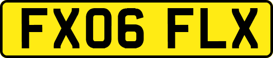 FX06FLX