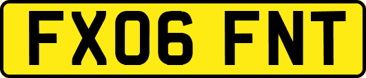 FX06FNT