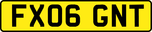 FX06GNT