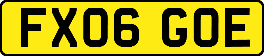 FX06GOE