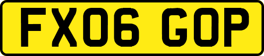FX06GOP