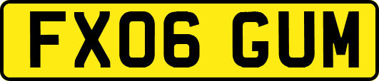 FX06GUM