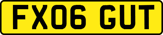 FX06GUT