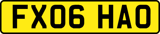 FX06HAO