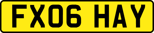 FX06HAY
