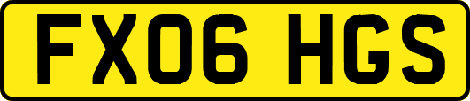 FX06HGS