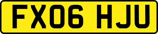 FX06HJU