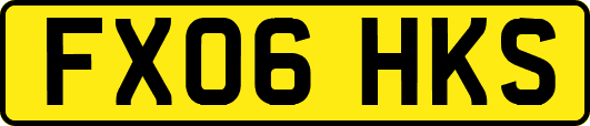 FX06HKS