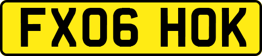 FX06HOK