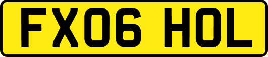 FX06HOL